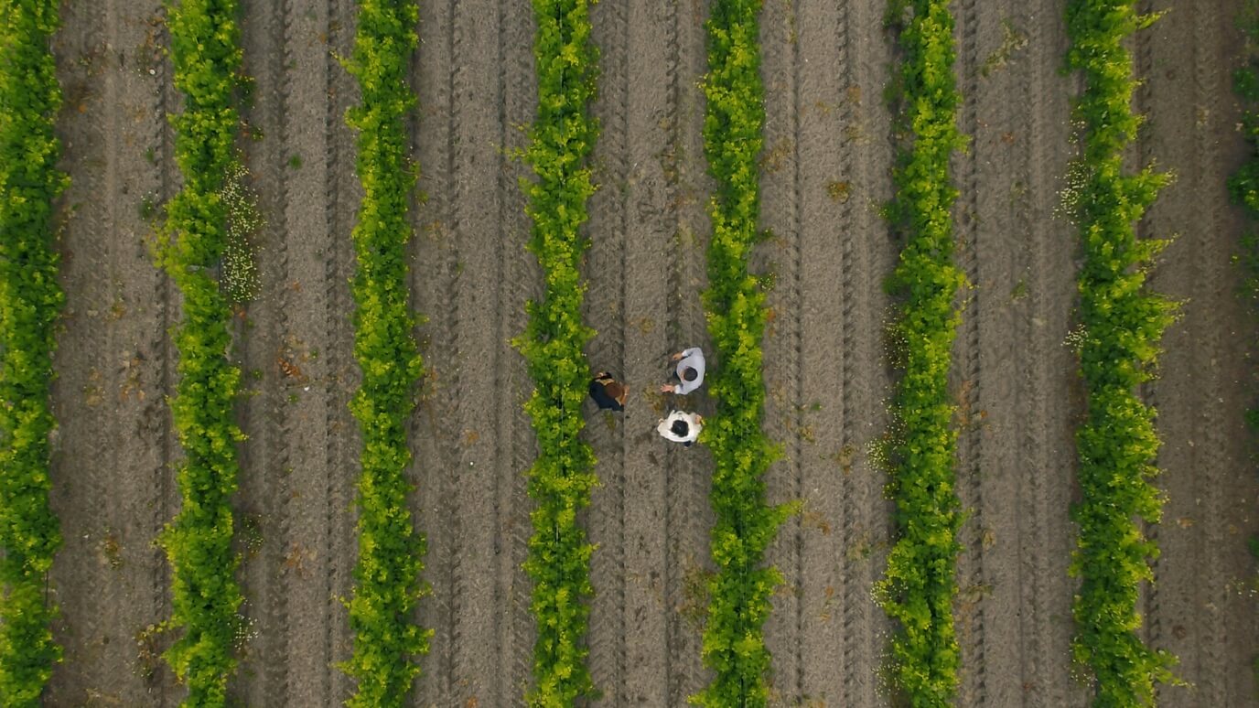alt Image2